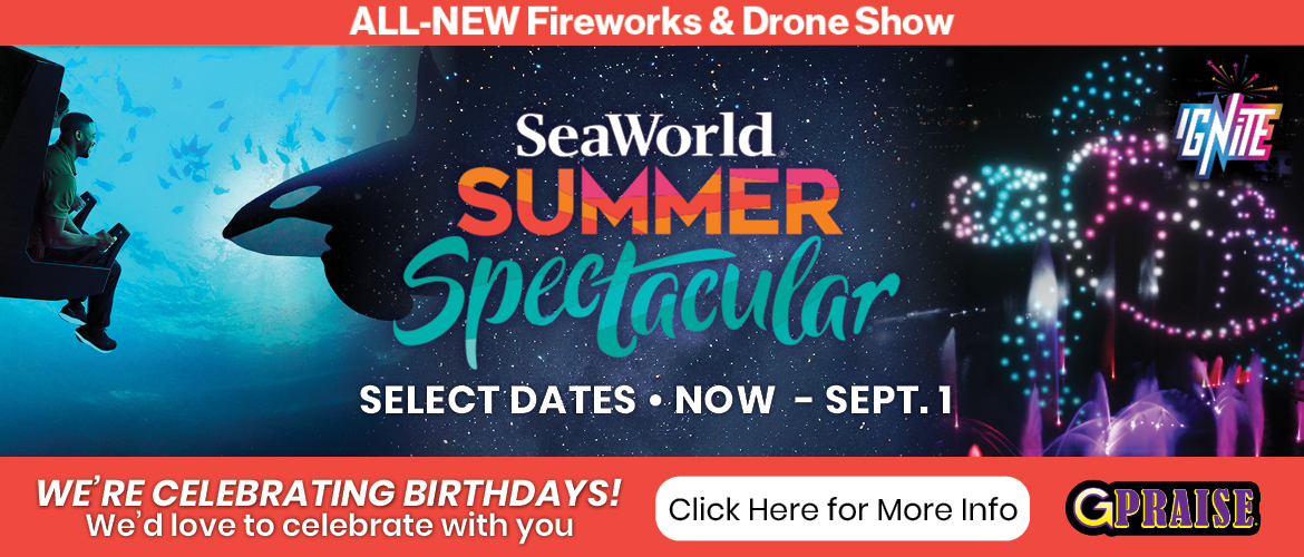 Seaworld Summer Spectacular