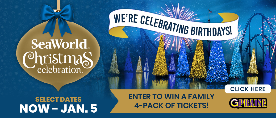 Seaworld Summer Spectacular